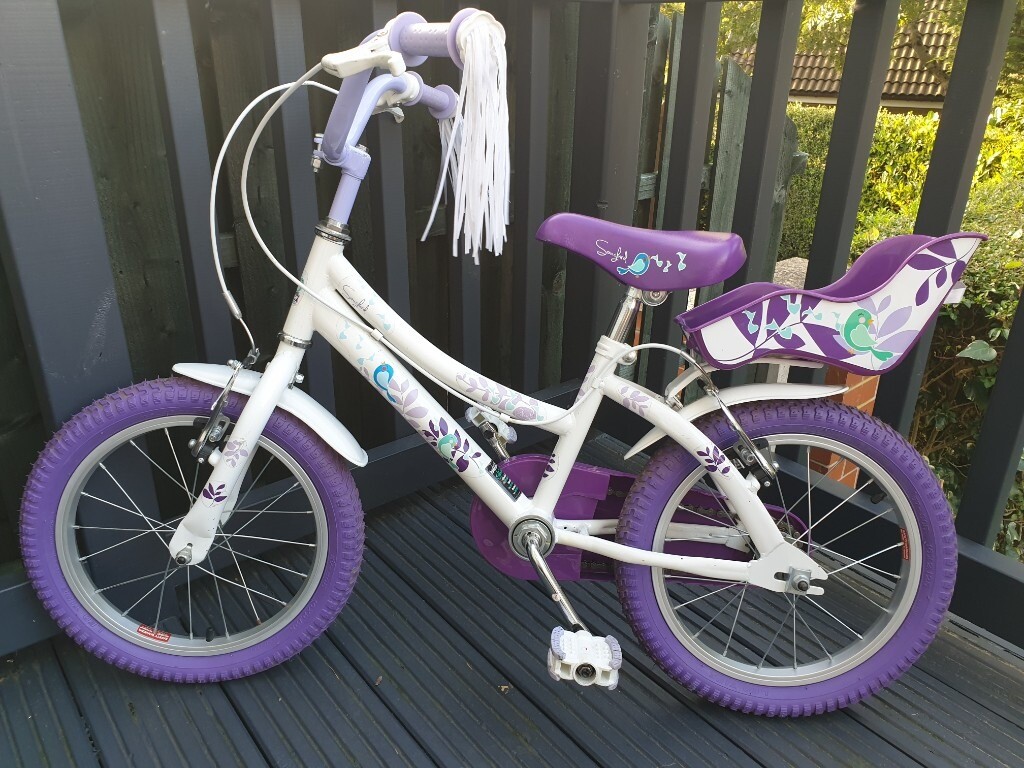 raleigh songbird bike